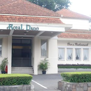 Hotel Royal Dago